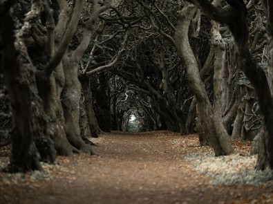 The Headless Horseman: The Legend Behind Sleepy Hollow featured image