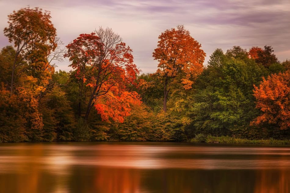 Colorful fall trees reflecting on a calm river during autumn.
