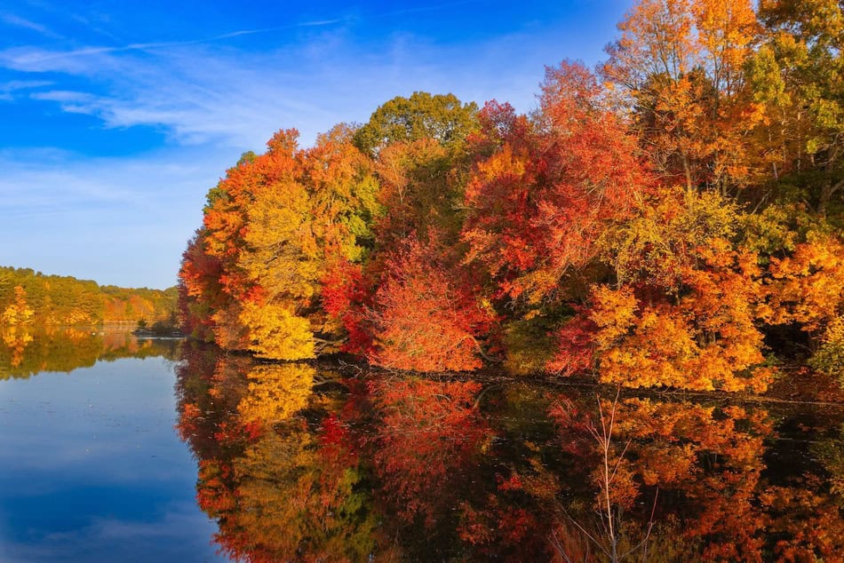 Colorful autumn trees reflecting on a calm river during fall.