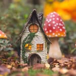 Miniature fairy house surrounded by red and white mushrooms in autumn setting.