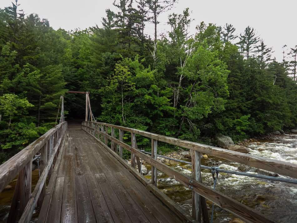 Wooden bridge crossing a river surrounded by lush green trees.