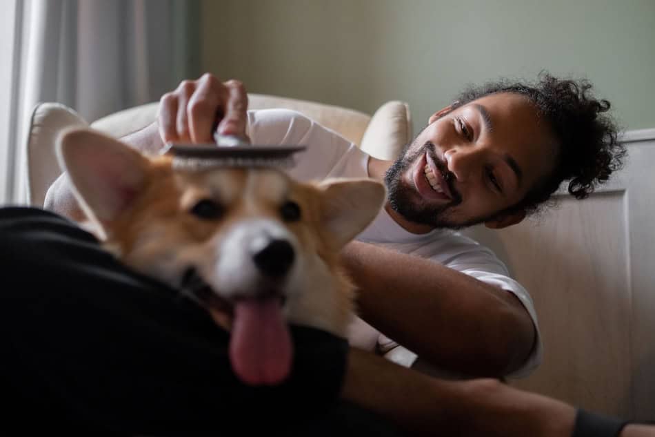 Man smiling and playing with his dog on a cozy sofa.