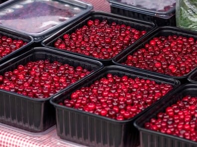 Cranberries Don’t Grow Underwater, So Why Are the Bogs Flooded Every Fall? featured image