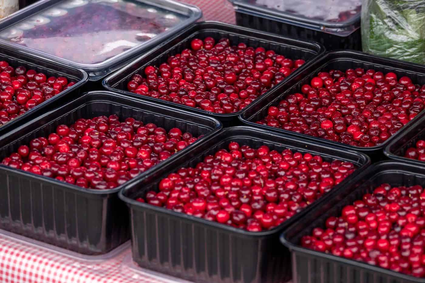 Baskets of ripe red cranberries at a farmers' market.