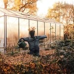 Greenhouse in autumn with fall foliage and garden scarecrow.