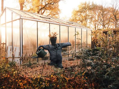 The One Fall Yard Cleanup Job You Should NOT Do Until Spring featured image